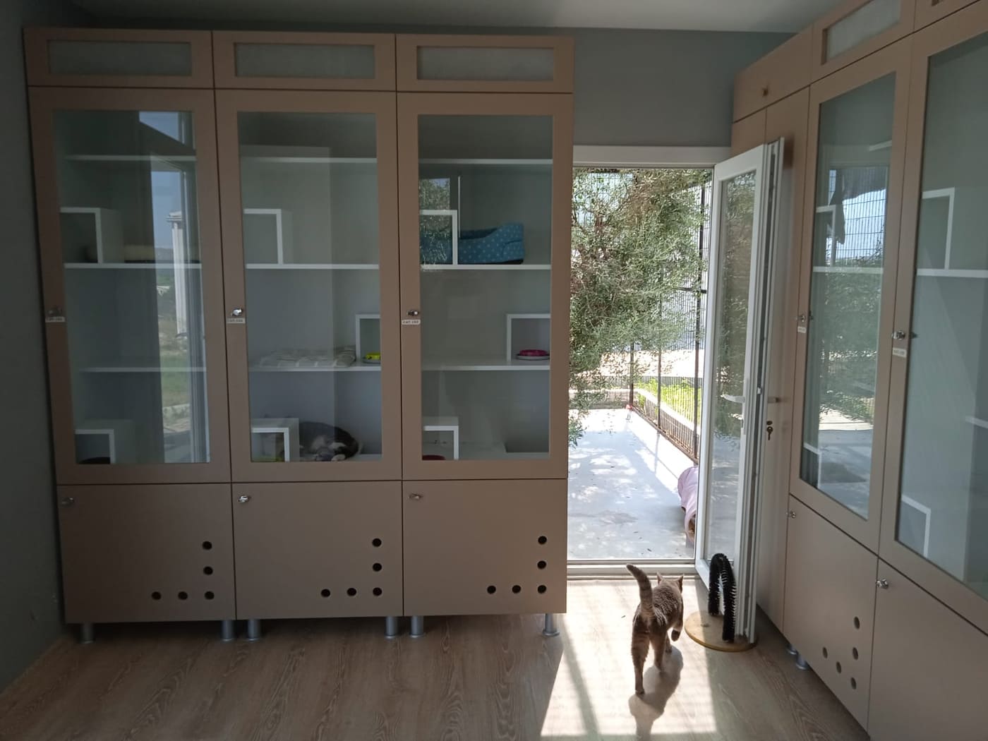 Cam kapaklı raf dolapları olan, bahçeye açılan oda